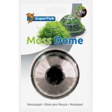 Moss Dome